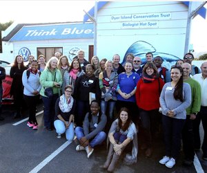 Marine mammel minds meet in Kleinbaai area