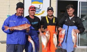 Lyne sing by Wes-liga