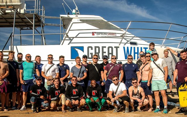 Die Ierse rugbyspan se haaikykery verlede week in Gansbaai moes hulle die regte woema vir die toets teen die Bokke gegee het....miskien moet onse Bokke  dit  ook  op die proef stel. Vele onnodige foute en ‘n eindtelling van 20-26 in die Iere se guns het sekerlik sprake van seesiek onder die Iere gesnoer. ’n Kleiner groep van die Iere het verkies om gholf op Tafelberg te gaan speel.    