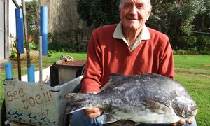 Stompie se Galjoen is 'n rekord