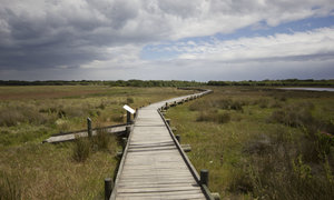 Keeping Busy in Kleinmond