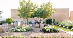 Tickle Your Tastebuds in Grabouw/Elgin