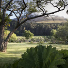 View at Wildekrans Country House