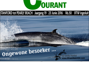 Mother and calf play near Quoin Point