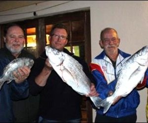 Overberg Kushengel se wenners