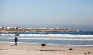 5 Top Attractions of Pringle Bay and Rooi Els