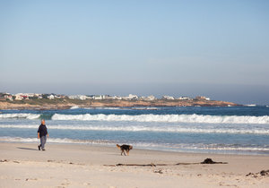 5 Top Attractions of Pringle Bay and Rooi Els