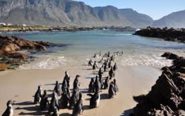 On our way for a swim