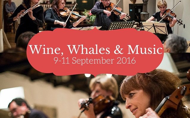 Wine, Whales & Music @ De Hoop Wine, Whales & Music @ De Hoop