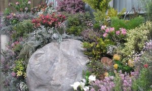 Twintig jaar se Fynbos-erfenis