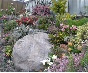 Twintig jaar se Fynbos-erfenis