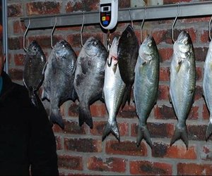 Pearly Beach hengelaars wen in gure weer