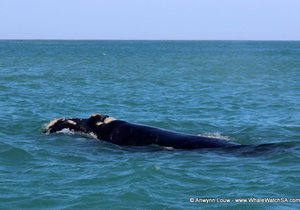 Daily Blog 9 July 2016