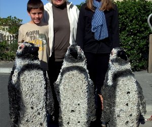 September - Funky month