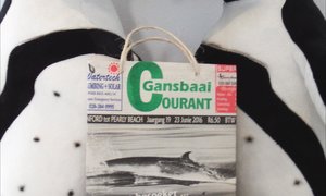 Courant word deel van herwinprojek