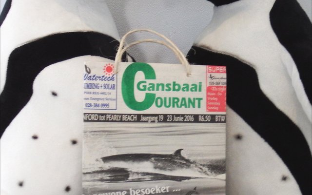  ‘n Gansbaai Courant inkopiesakkie pronk trots tussen mnr. en mev. Afrika Pikkewyn