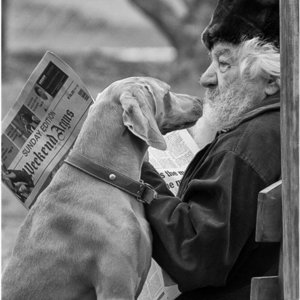 Riaan Jacobs is ook met goud beloon  vir sy “Ou Man en Hond”.