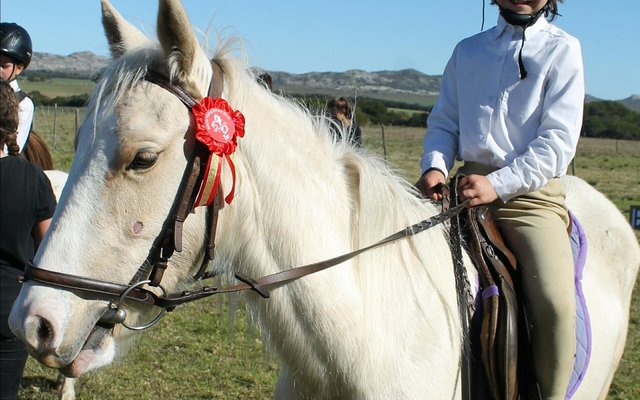 Joani-Lee Vos op Majesty (eienaar Japie Swart)