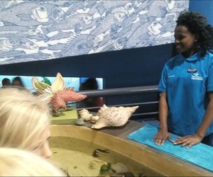 Diamond for young biologist