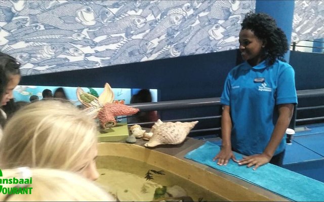 Odwa Mntakaziwa from Gansbaai Academia who received a Diamond Cerificate as biologist from the Two Oceans Aquarium in Cape Town.