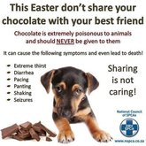 Nice for you, bad for dogs!