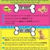 Socializing your animal is very important.