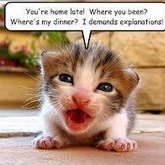 Who gets this when you get home?