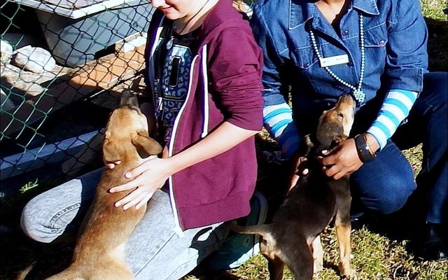 Gansbaai Toerismeby BARC se hokke 