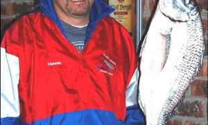 Lyne sing by Pearly Beach