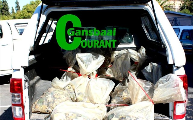 Gansbaai_Hermanus_suspects_arrested_in_Paarl