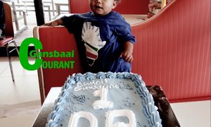 Eenjarige hou van Blou