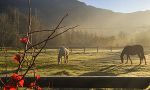 Make Your Getaway Greyt(on)