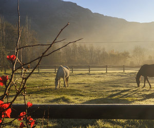 Make Your Getaway Greyt(on)