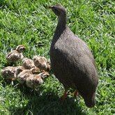 Our Beautiful Betty's