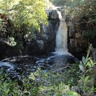 Our Beautiful Betty's