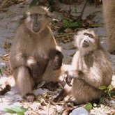 Our Beautiful Betty's