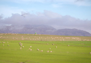 Put a Spring in your step in Caledon