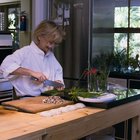 Freshly prepared meals Freshly prepared meals