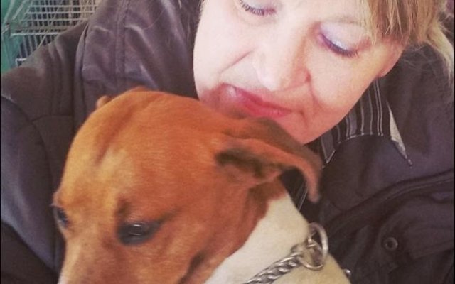 Een van die “hartseer” eienaars wat besig is om haar lieflinghondjie te troos nadat hy gesteriliseer is.