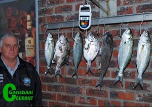 Pearly hengelaars heeltemal te slim vir visse