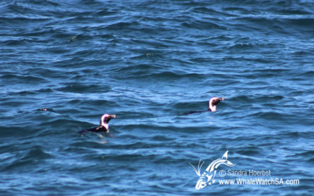 20160914_DC_Trip2_SHoerbst_IMG_092_580x388