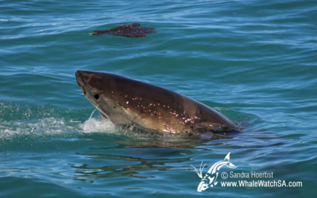 20160914_DC_Trip2_SHoerbst_IMG_099_580x388