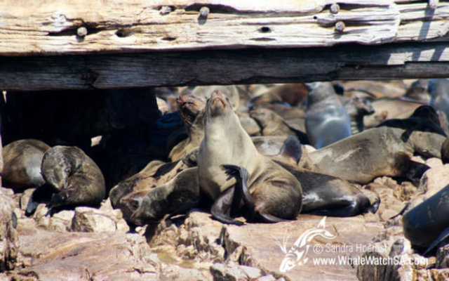 20160914_DC_Trip2_SHoerbst_IMG_121_580x388