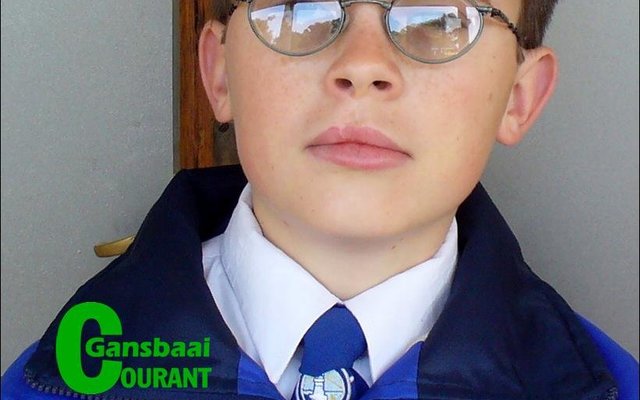 Fred Miles (Graad 6) van Laerskool Gansbaai se kunswerk is gekies vir die Santam Kinderkuns aanlyn uitstalling wat vroeg in 2017 besigtig kan word.