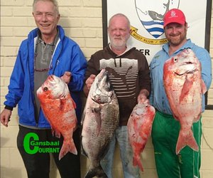 Overberg beleef heerlike weer