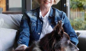 Moordvis-skrywer skenk opbrengs