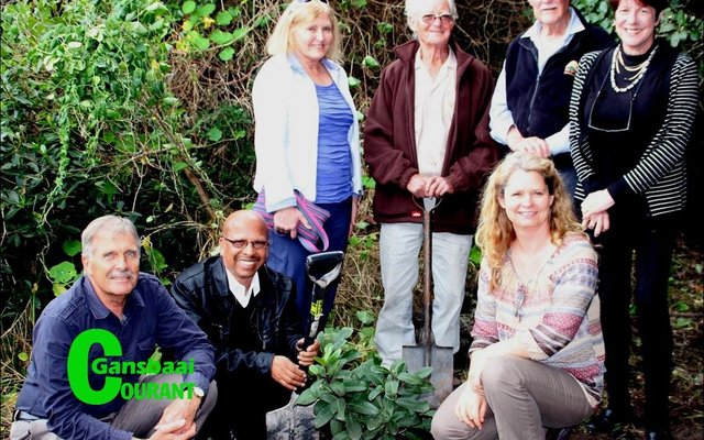 The planting of ten Milkwood trees by municipal councillors in Piet-se-bos as part of Arbour Week celebrations. From left Cllr David Botha, Mayor Rudolph Smith, Fiona Matthes, Frank Woodvine, Harvey Tyson and Cllr Kari Brice. Front (right) is the municipality’s horticulturist, Lauren Rainbird.