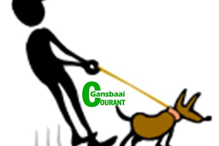 Nose_to_Tail_Trail