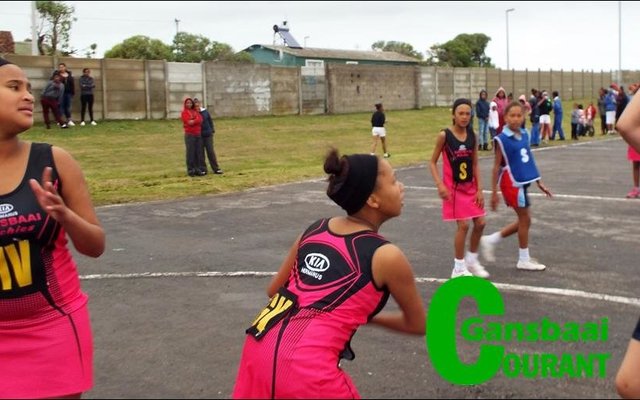 Die o/12 netbalspanne in aksie.