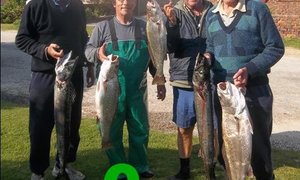 Voor- en nadele van 'n boot